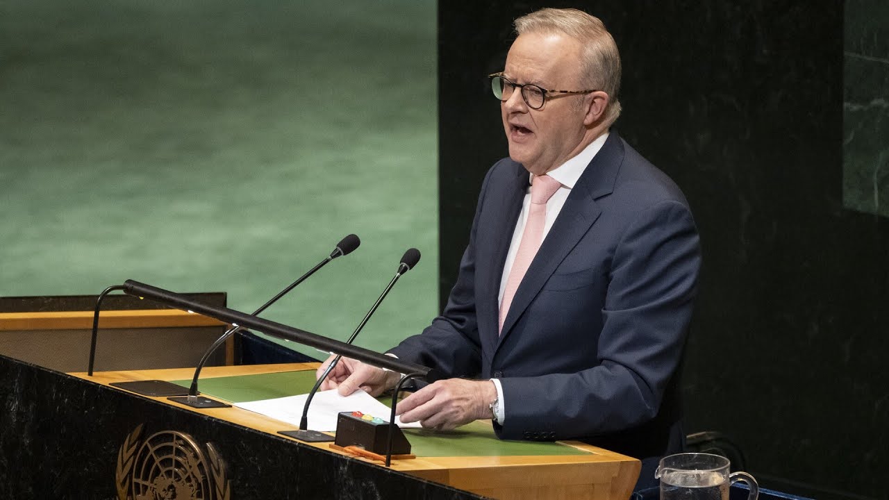 ‘It is about real hope’: Albanese addresses UN on recognising Palestine