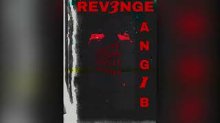 Angis Revenge 