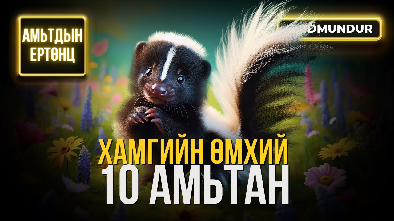 Хамгийн өмхий 10 амьтан - АМЬТДЫН ЕРТӨНЦ