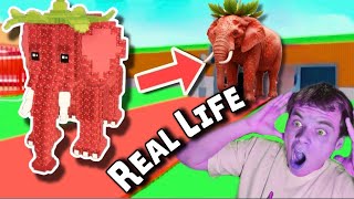 Download Lagu Ik heb de hersenrot in echte dieren veranderd! Je zult versteld staan ​​als je het ziet! MP3