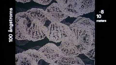 Powers of Ten (1977)