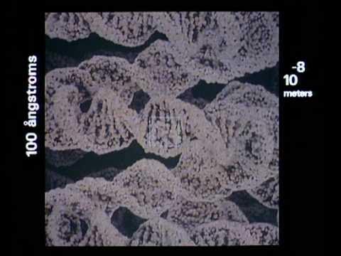 Outline Video Powers of Ten™ (1977)