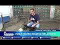 Parque mundo de cuatro patas el paraso de los perritos s existe es gratuito y se est en surco