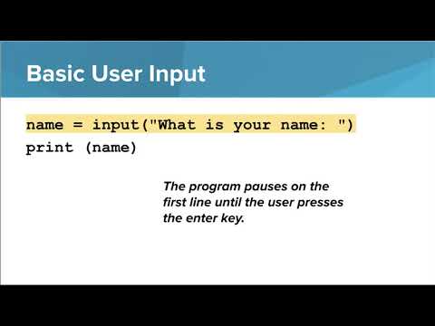 Python- User Input