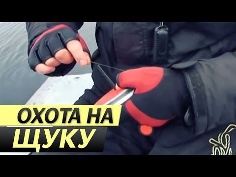 наша рыбалка осенью