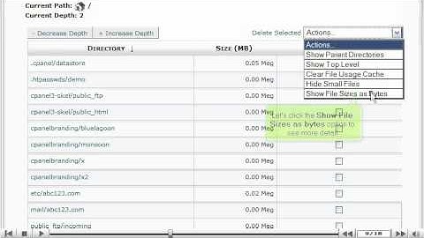Cpanel Video Tutorial - Using the Disk Usage Viewer