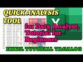 Quick Analysis Tool for Data Analyst