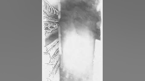 #تلاوة ماتيسر من #سورة #هود #القرآن_الكريم #تلاوات