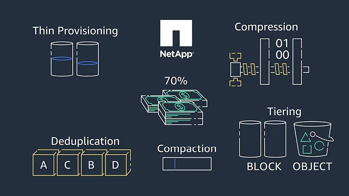 Data Management Services from NetApp Cloud Volumes ONTAP for AWS