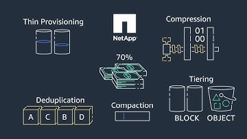 Data Management Services from NetApp Cloud Volumes ONTAP for AWS