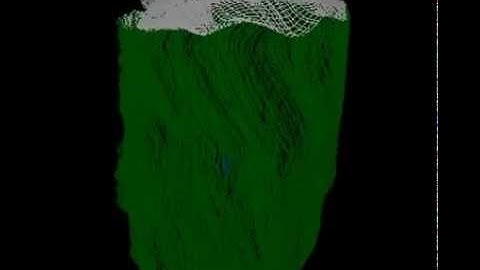 Simulation of the heart fiber contraction with valve attached