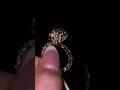 Luxury Diamond Ring 💎 | Elegant Bridal & Engagement Ring Design 2026 #Shorts