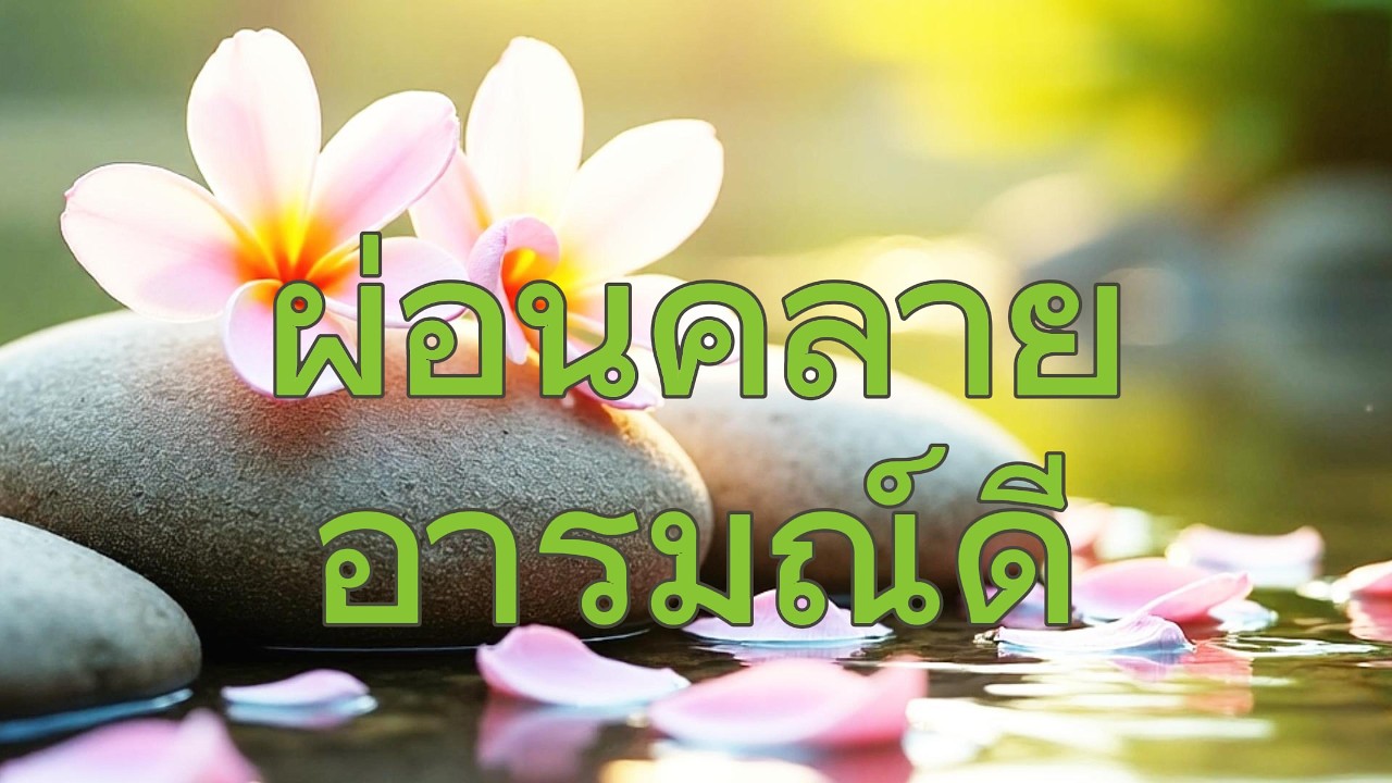 ผ่อนคลาย • ช่วยอารมณ์ดี • คลายสมอง • ฮีลใจ • ฟังสบาย • มีสมาธิ - Relax Safe Zone