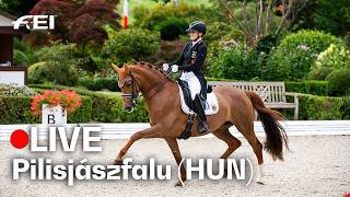 🔴 LIVE | 04 Intermediate II (Pt.2) - FEI Dressage European Championship U25