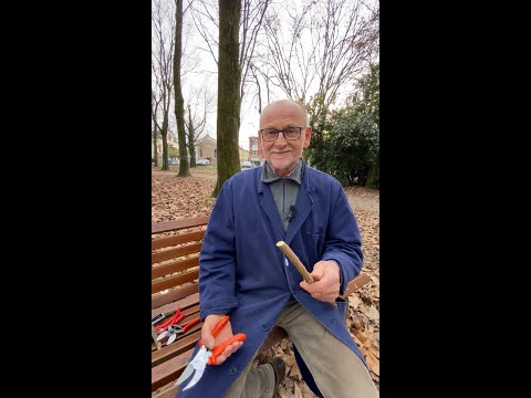 Video: A cosa servono le forbici da giardino: scopri i diversi tipi di forbici per la potatura