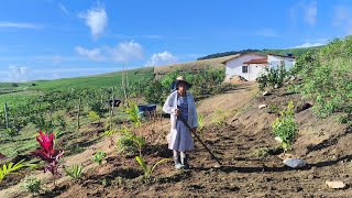 PLANTANDO E CUIDANDO DA NOSSA ROÇA