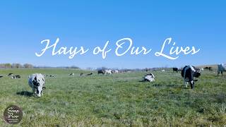 Hays of Our Lives | A Completely Improvised Soap Opera | Official Trailer