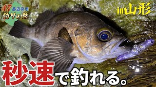 【メバリング】ライトソルトをする人は、後悔する前に見てほしい・・・このルアーが最強すぎた！47都道府県釣りの旅　第4話山形県編