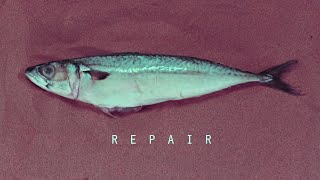 REPAIR