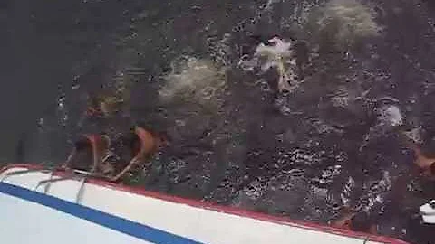 Butch and Duane swimming with kids