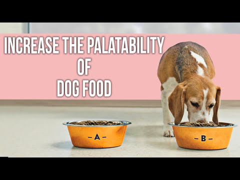 How do you increase the palatability of dog food