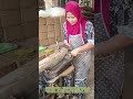 粘土を叩く手：一枚の煉瓦が生まれる「土と炎の化学」