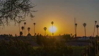 Timelapse Recap: Spring at Montebello