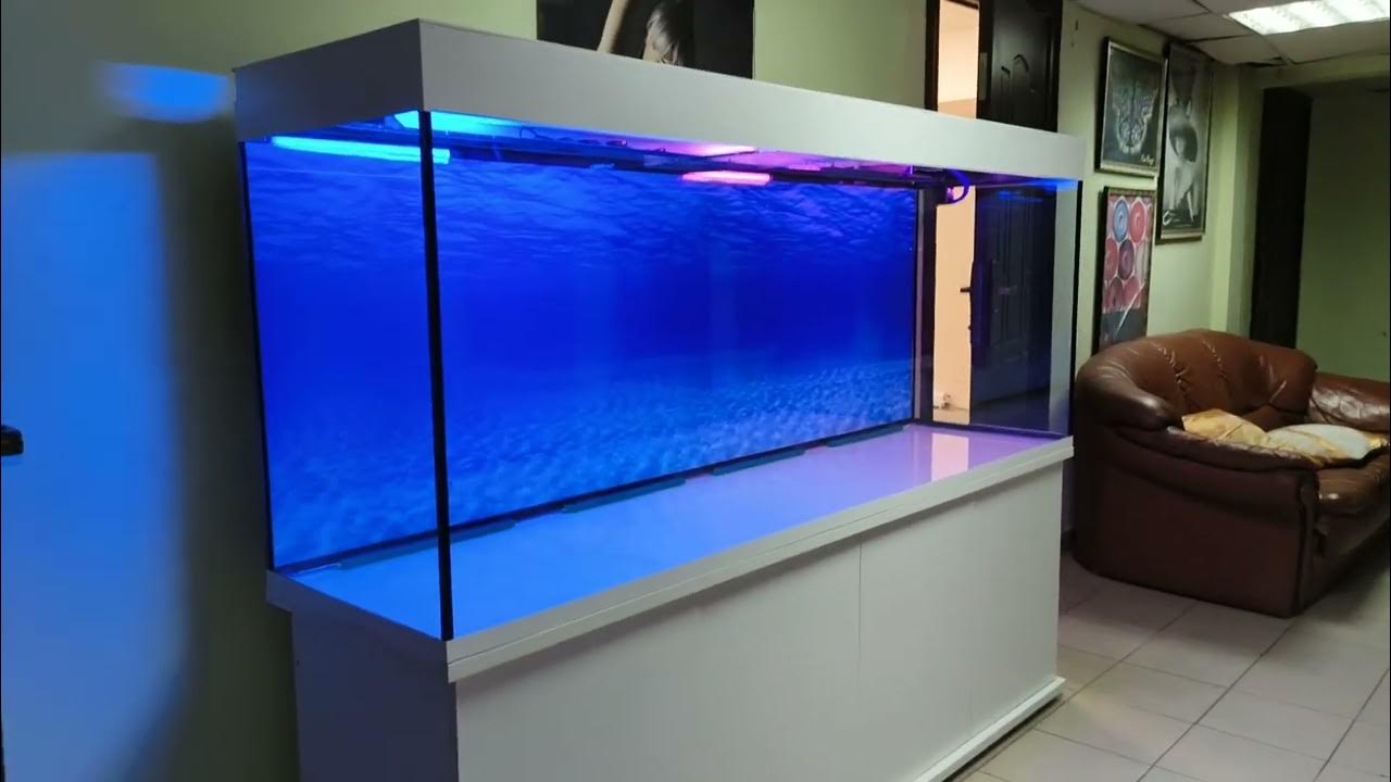 аквариум 800 свет биофильтр фон подставка - YouTube