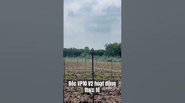 Béc VP10 V2 tưới phủ thực tế tại vườn #bectuoi #bectuoiphunmua #hethongtuoicay #bectuoisaurieng