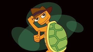 Terry the Turtle (Original Theme Song)