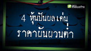 4 หุ้นปันผลเด่น ราคาผันผวนต่ำ - Sherlockhoon