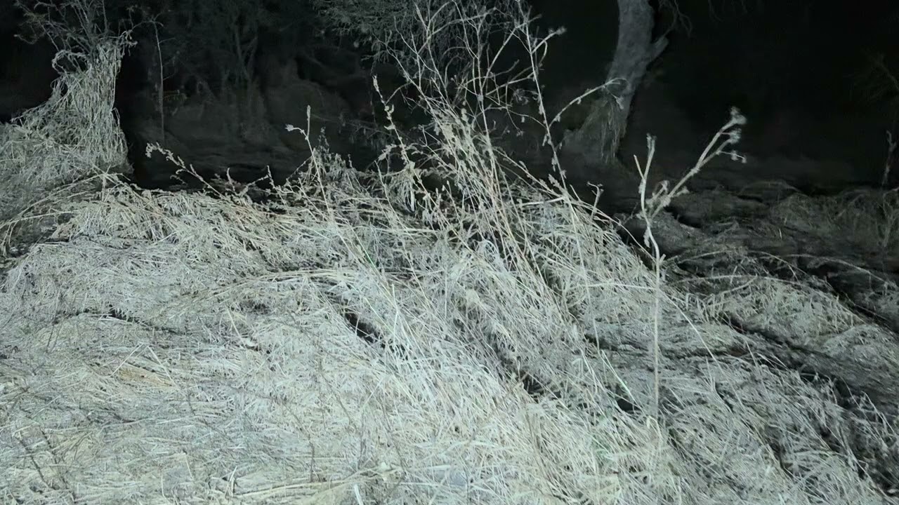 Empecé a correr con mucho peligro en la locación 😱😱😱