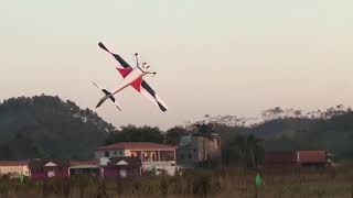 CTS 2019 Unknown Freestyle demo flight