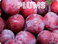 12 Best fruits for your skin
