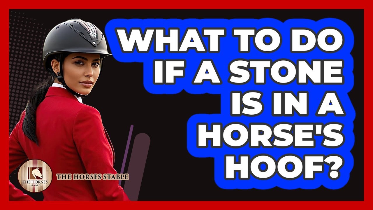 What To Do If A Stone Is In A Horse's Hoof?