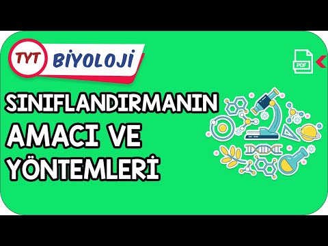 Video: Organizmalar hangi sınıflandırma düzeyinde birbirleriyle en yakın akrabadır?