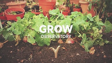A short introduction to GROW - Sign up to Citizen Science: From Soil to Sky, Feb 2018