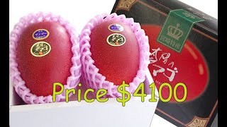 12 Expensive Fruits in the World