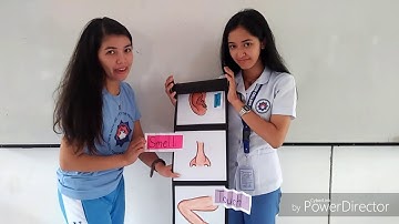 Roll down and Pull out Visual Instructional Material