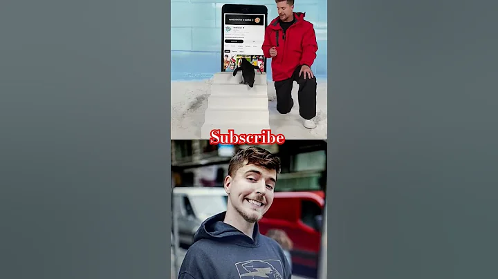 Can i Teach a penguin to subscribe? Mr beast video #mrbeast #shortvideo