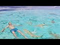 TRISHA AND JASON SWIM WITH SHARKS!