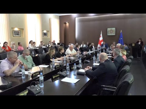 ჯემალ ბიბილეიშვილს უმრავლესობამ  ქართული ოცნების თავმჯდომარის მოადგილის  პოზიციაზე მხარი  დაუჭირა
