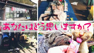 【150頭以上手術】猫活動TNRを相島で体験して思った事｜不妊去勢手術 (この動画の広告費は残りの猫ちゃんの手術代に致します)