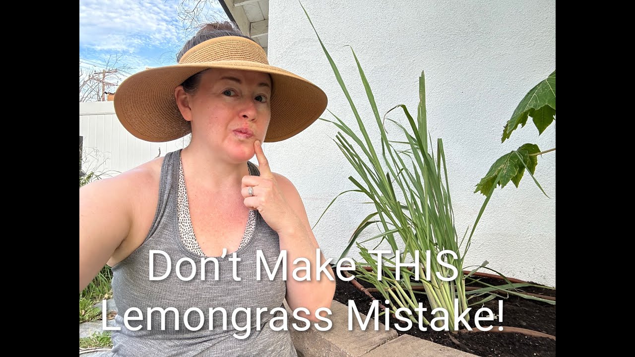 Don’t Make THIS Mistake With Lemongrass!