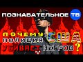 Почему полиция США убивает негров? (Познавательное ТВ, Артём Войтенков)