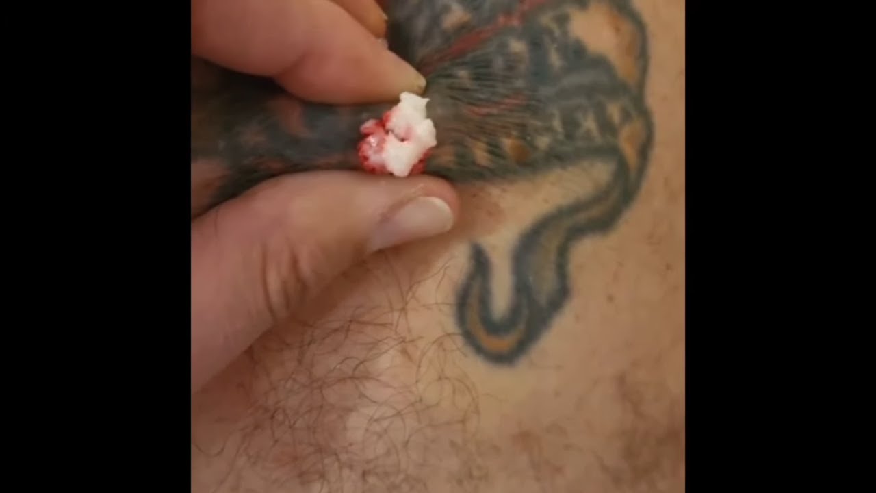 Compilation videos #22