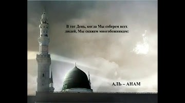 القرآن الكريم كامل مترجم باللغة الروسية   Полный Коран на русском языке 2