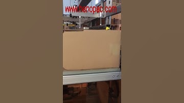 #caseerector     #casepacker #casesealing #sealer #palletizer #palletizing  #cartoner #casesealing