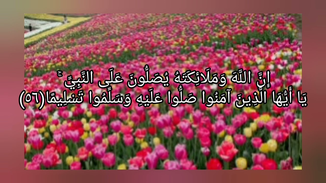 إِنَّ اللَّهَ وَمَلَائِكَتَهُ يُصَلُّونَ عَلَى النَّبِيِّ ۚ  سورة الاحزاب ٥٦ بصوت جميل جدا