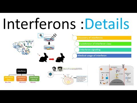 Video: Interferon - Instructions For Use, Indications, Description